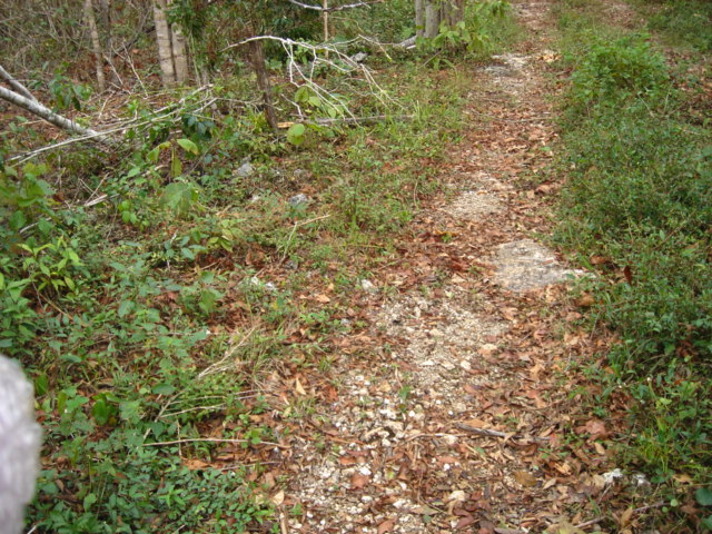dsc00546.jpg